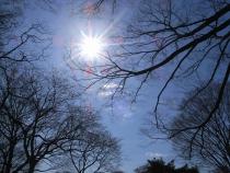 Prognoza meteo pentru sâmbătă, 6 martie