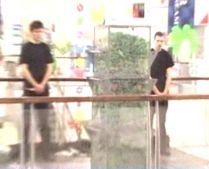 Un român a intrat, neoficial, în Cartea Recordurilor îngropat în jumătate de tonă de cioburi (VIDEO)