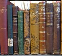 Google va scana cărţile din bibliotecile naţionale ale Italiei
