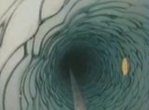 Creatură bizară, descoperită la 200 de metri sub gheaţa din Antarctica (VIDEO)