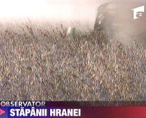 România, teren profitabil pentru cultivarea plantelor modificate genetic