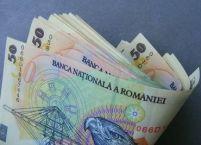 ANI cere anchetarea fostului secretar de stat din MAI, Toma Rus, pentru fals în declaraţii