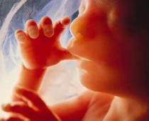 Italia. Un copil a trăit două zile după ce a fost avortat