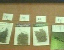 Tânăr care susţine că a fost obligat să consume plante etnobotanice, în stare gravă la spital