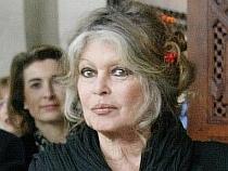 Brigitte Bardot protestează faţă de legea privind câinii comunitari din Bucureşti
