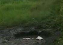 Mureş: Un copil a murit după ce a căzut într-o groapă plină cu apă aflată lângă o şcoală (VIDEO)