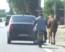 Un ilfovean şi-a legat calul de Logan şi l-a scos la plimbare pe DN1 (VIDEO)
