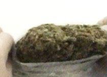 Un spaniol şi doi doljeni, prinşi în timp ce transportau peste 25 kilograme de haşiş