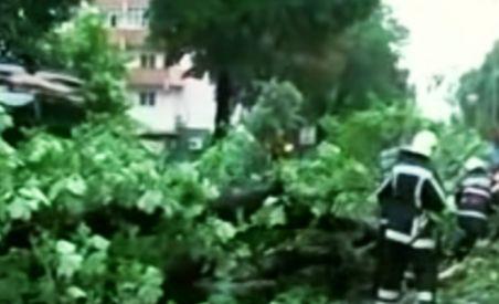 Vijelii în mai multe judeţe: Acoperişuri smulse de vânt, copaci şi linii electrice rupte (VIDEO)