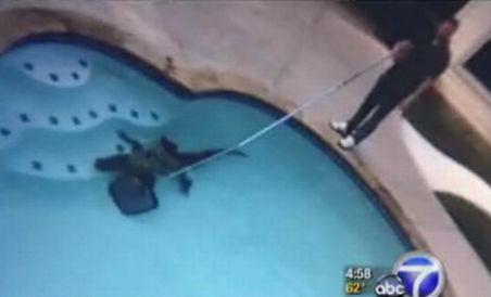 SUA. S-au trezit cu un aligator de 2 metri în piscină (VIDEO)