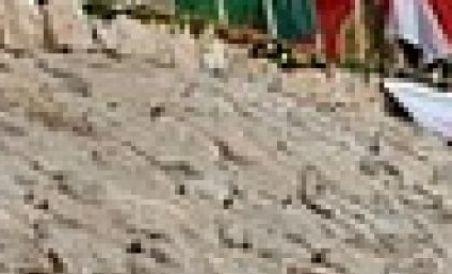 Turcia îngheaţă relaţiile cu Israel