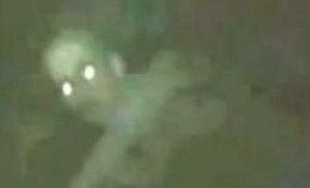 Animale bizare ucise în Texas. Localnicii cred că au prins legendarele chupacabra (VIDEO)