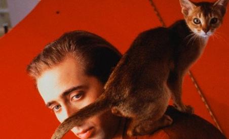Nicolas Cage: M-am drogat alături de un motan şi l-am confundat cu fratele meu (VIDEO)