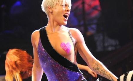 Pink a ajuns la spital, după ce s-a accidentat în timpul unui concert (VIDEO)