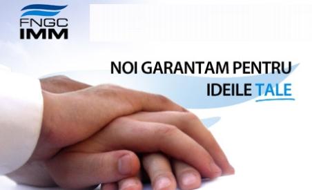 FNGCIMM oferă mediului de afaceri din Deva noi informaţii privind stimularea investiţiilor şi creşterea gradului de absorbţie a fondurilor structurale