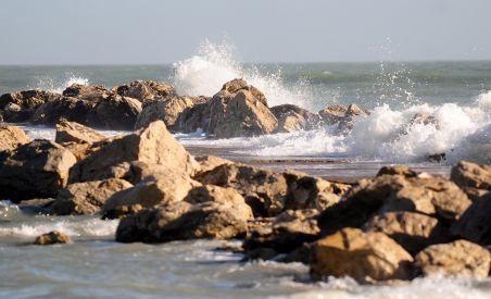 Nivelul mare al Dunării alungă peştii din Marea Neagră în larg