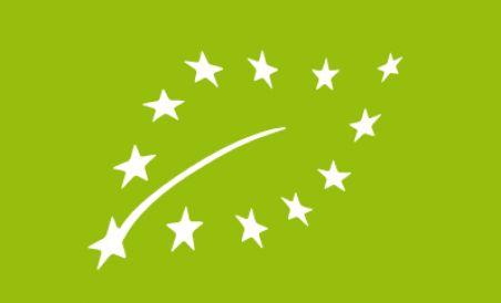 Graficienii români, recunoscuţi de Europa, ignoraţi de Udrea. Vezi cum se alege un logo în UE