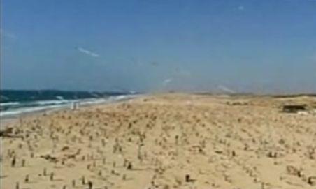 Mii de copii din Gaza s-au adunat pe o plajă pentru a doborî recordul mondial la înălţat zmeie (VIDEO)