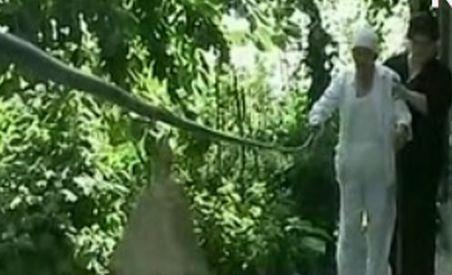 Un orb, nevoit să folosească un şnur cu clopoţei din lipsă de bani de îngrijitor
