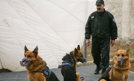 Poliţiştii comunitari din Mogoşoaia, disponibilizaţi pe furiş
