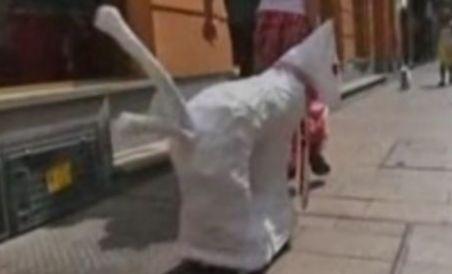 Ungaria. Partidul Câinelui cu Două Cozi promite viaţă veşnică, bere gratis şi salarii pentru cei care nu muncesc (VIDEO)