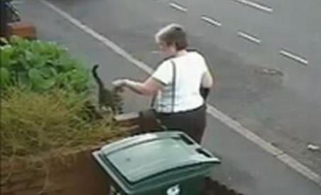 Ameninţată cu moartea după ce a aruncat o pisică la gunoi - VIDEO