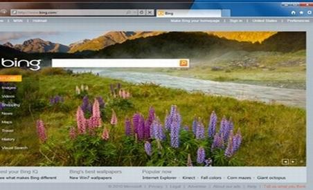 Internet Explorer 9, în imagini publicate accidental pe internet