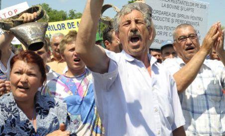 Agricultorii au ieşit să protesteze în mai multe oraşe (VIDEO)