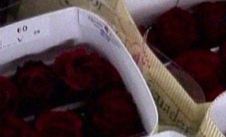 Trandafirii comestibili, delicatesă în restaurantele de lux din New York sau Barcelona (VIDEO)