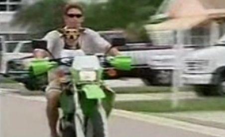 Chibi, câinele "extrem": Se plimbă cu motocicleta şi face schi nautic (VIDEO)