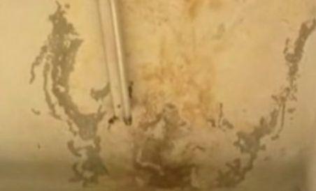 Cabinetele şcolare din Galaţi, în stare deplorabilă (VIDEO)
