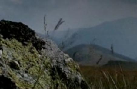 România, ţara tuturor posibilităţilor: 15% din pădurile ţării, vândute cu tot cu munţi (VIDEO)