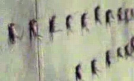1000 de greieri vii, lipiţi pe un zid de un artist spaniol (VIDEO)