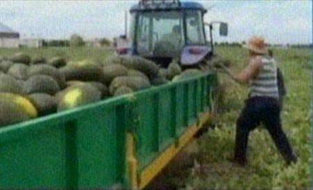 Numărul mare de romi dintr-un oraş spaniol îi nemulţumeşte pe localnici (VIDEO)