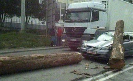 Doi buşteni au căzut dintr-un camion, pe capota unei maşini (VIDEO)
