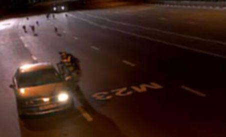 Şofer rus salvat de amendă de o haită de câini (VIDEO)