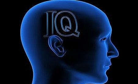 Partidul IQ, o solutie care ar putea scapa Romania ...