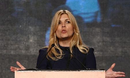 Udrea, despre proiectul revizuirii Constitutiei: cu siguranta este asteptat ...