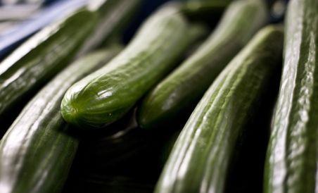Pagubele produse de epidemia E.coli depasesc 400 de milioane ...