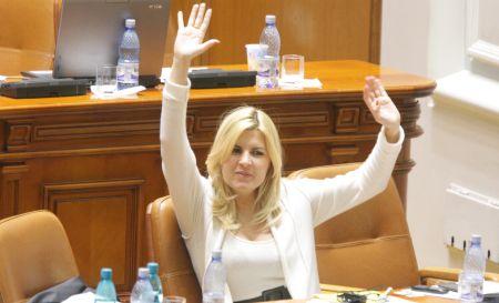 Domnul Elena Gabirela Udrea. Asta a scris pe scaunul rezervat pentru ministru, la meciul România-Franţa