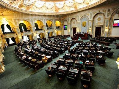 Gavril Mîrza, senator PSD: La 1 februarie parlamentarii USL vor intra în grevă parlamentară