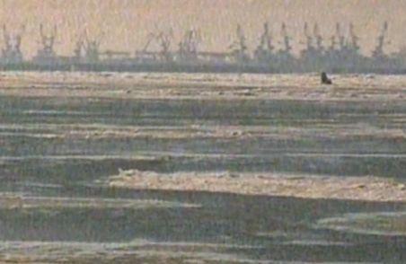 Locuitorii din Delta Dunării, izolaţi de ger şi gheaţă. Doar elicopterul poate ajunge la ei