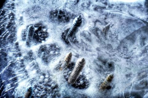 VIAŢA nu are nicio şansă! Vezi ce se întâmplă la o TEMPERATURĂ de -273 de grade Celsius