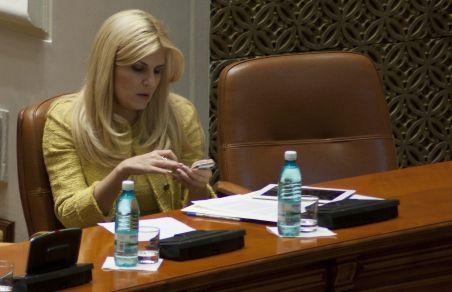 Udrea: Protestatarii din Piaţa Universităţii care fac politică să treacă la muncă