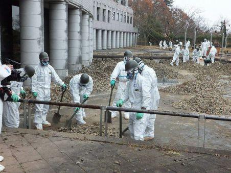Studiu: Numărul păsărilor şi viaţa insectelor s-au redus semnificativ în jurul centralei de la Fukushima