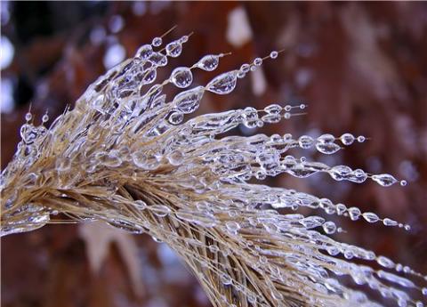Fenomenul "freezing rain" în Bucureşti. ANM: Este posibil să apară pe o zonă mai extinsă decât se estimase iniţial