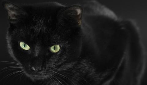 Blestemul care tronează asupra zilei de astăzi: VINERI, 13. Superstiţiile care au dăinuit de-a lungul timpului Blestemul care tronează asupra zilei de astăzi: VINERI, 13. Superstiţiile care au dăinuit de-a lungul timpului