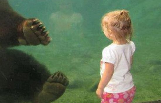 O imagine care îţi va da fiori. Întâlnirea impresionată dintre un copil şi un urs uriaş 407