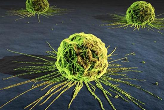 Descoperirea care ar putea salva milioane de vieţi. De ce se înmulţesc celulele canceroase 407