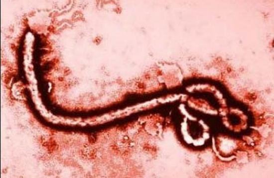 Stare de urgenţă în Sierra Leone din cauza epidemiei de Ebola 405